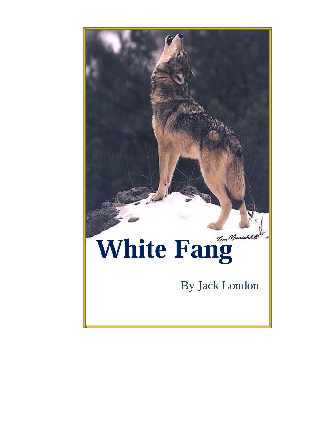 Book Cover